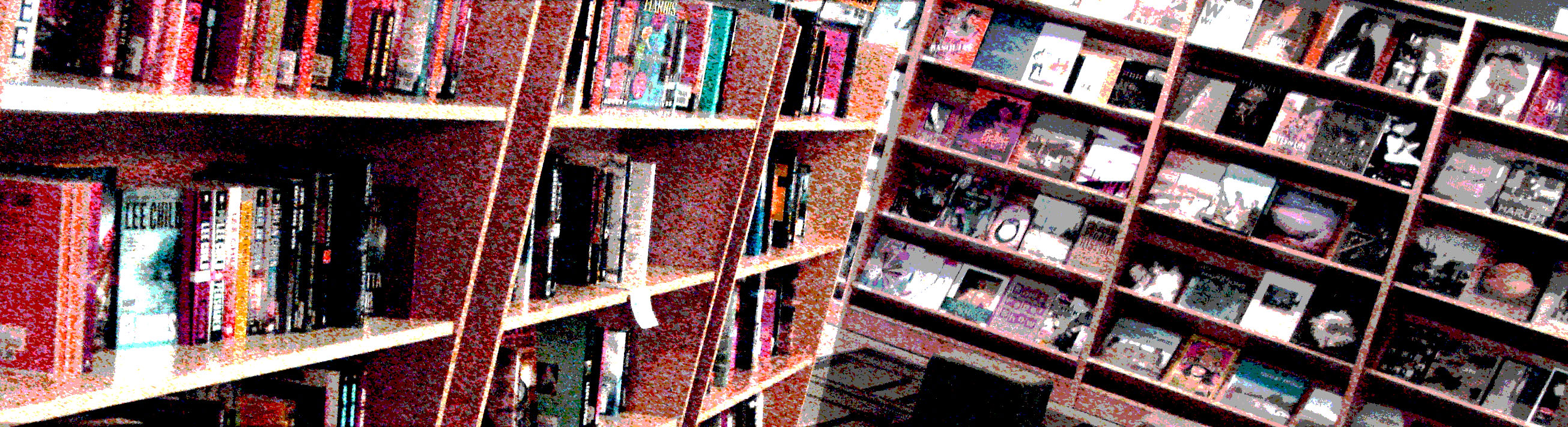 bookshelves.jpg