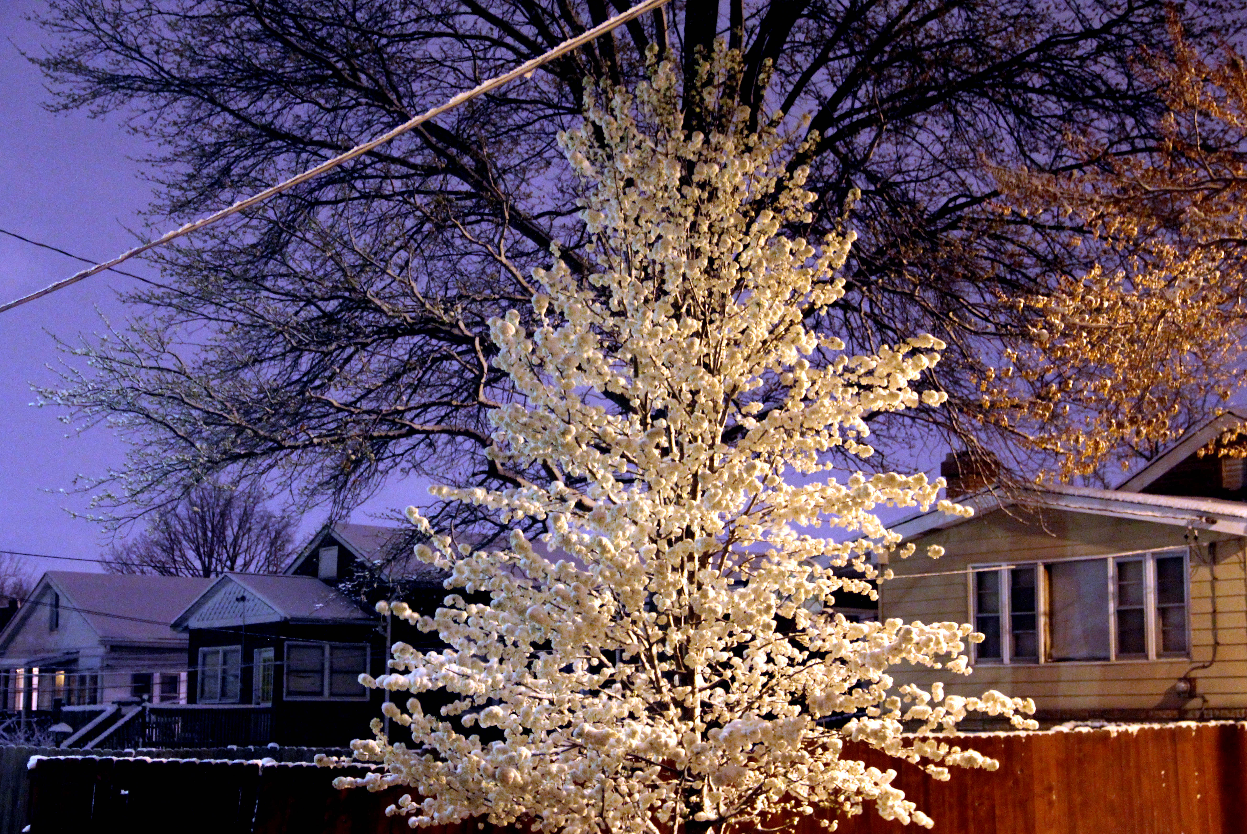 march-snow-2011.jpg