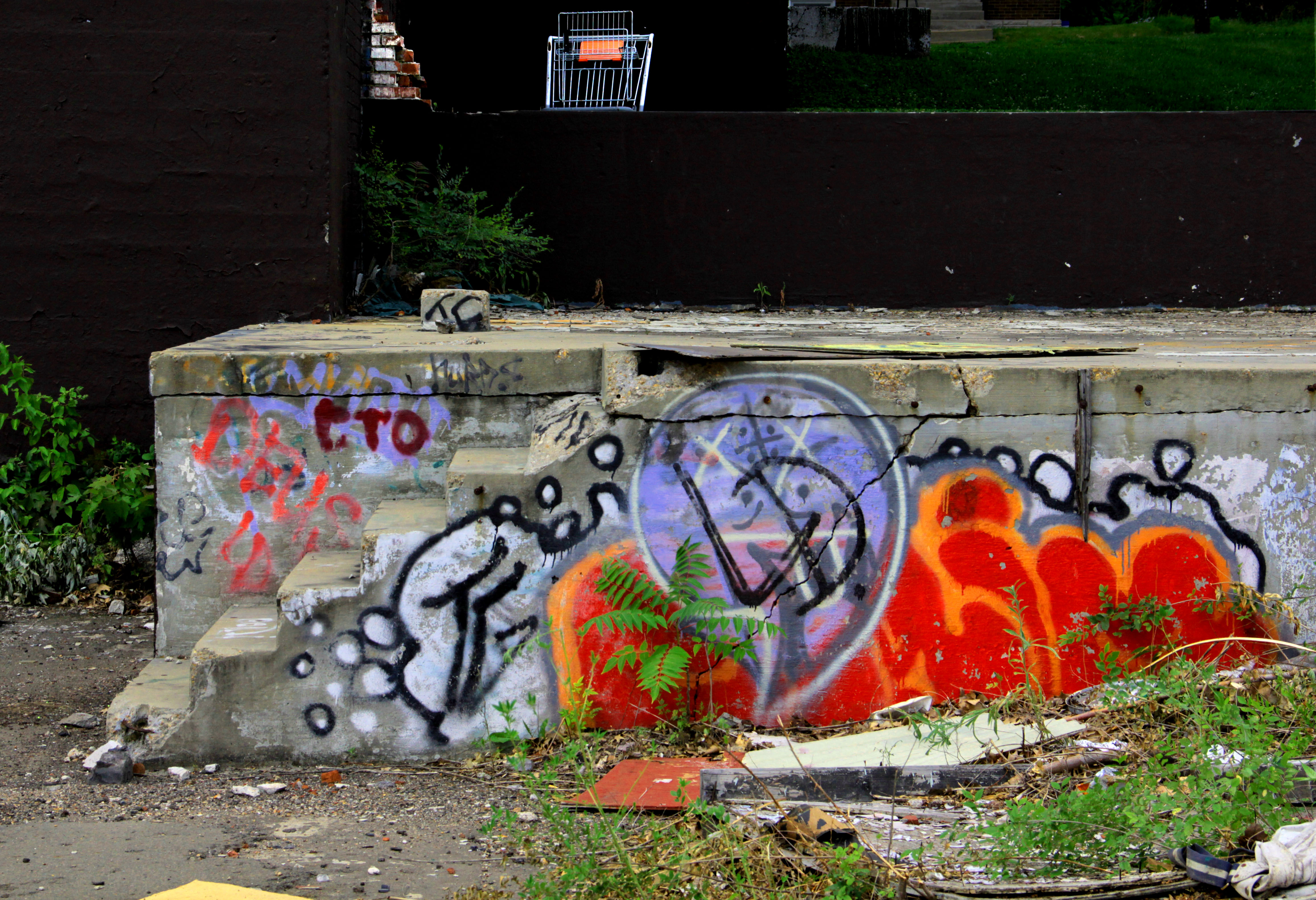 grafitti-on-steps-with-cart-june-2011.jpg