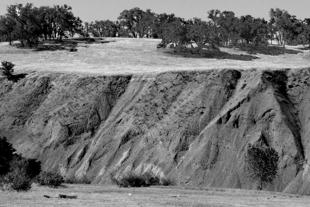 Eroded Bluff, b&w, July 2013