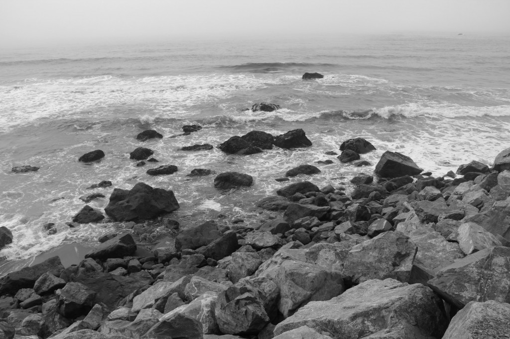 Rocky Shore, b&w,  July 2013