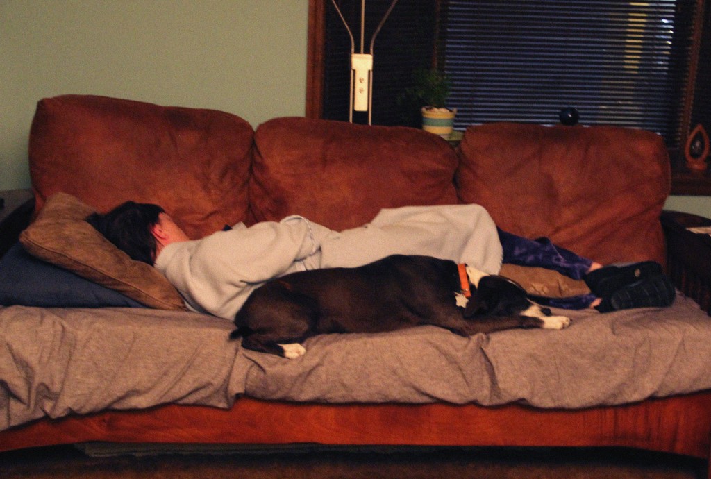 Still Life With Dog and Nap, November 2014