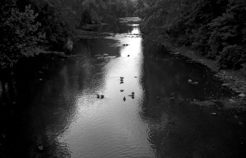 Down the Shallow River, b&w, July 1988