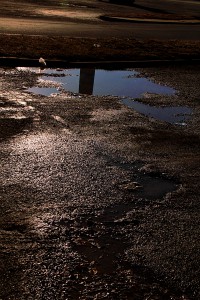 Pavement & Puddle, February 2016