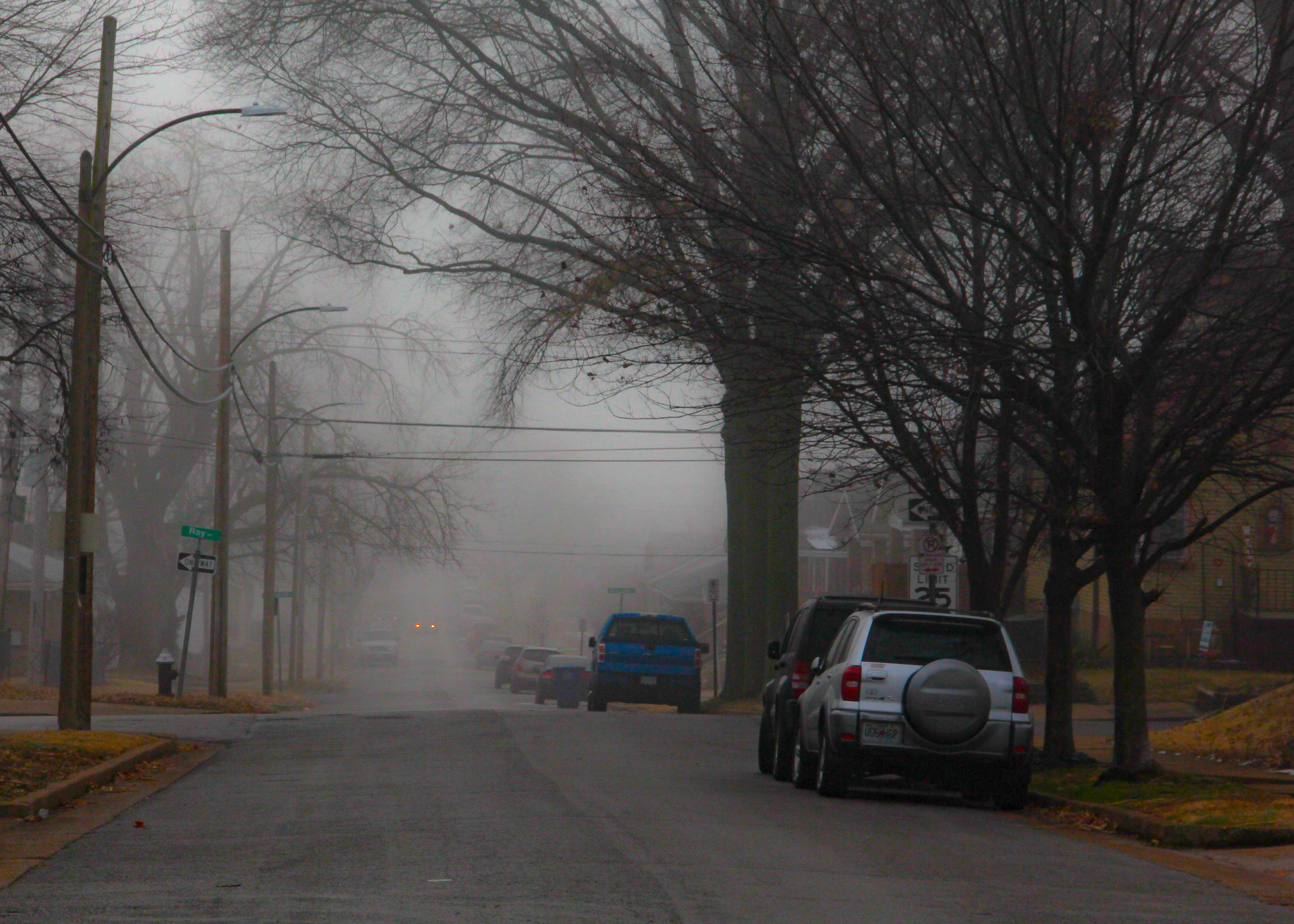 Neighborhood Fog, February 2019